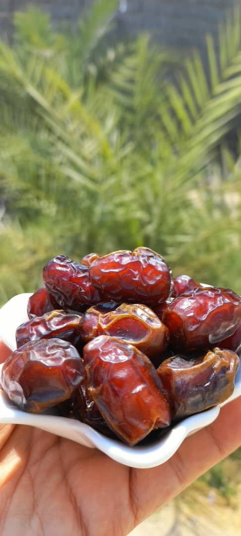 خرما بریمی