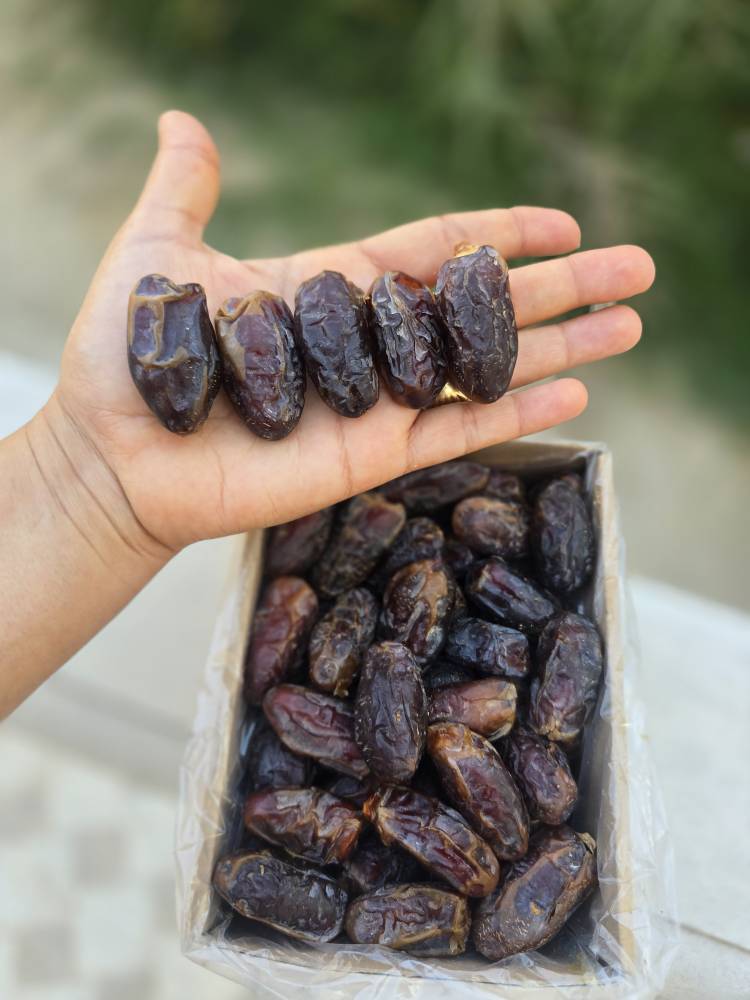 خرما پیارم بوشهری (شهابی)